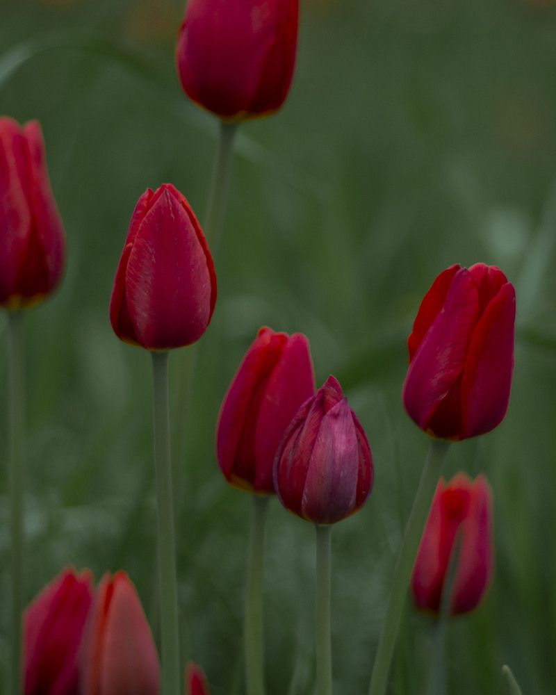Photograph by Данил Сорокин