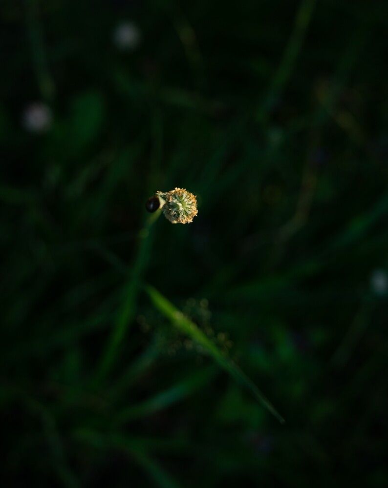 Photograph by Анна Архангельская