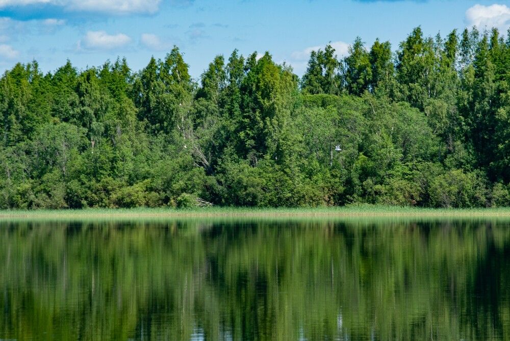 Photograph by Анна Архангельская