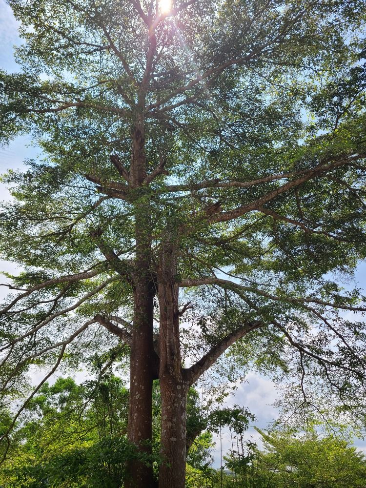 Photograph by Ojimmadu nkeiruka