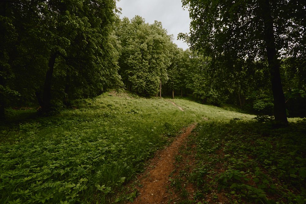 Photograph by Сергей Катков