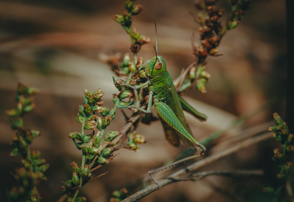 Photograph by Ольга Глущенко