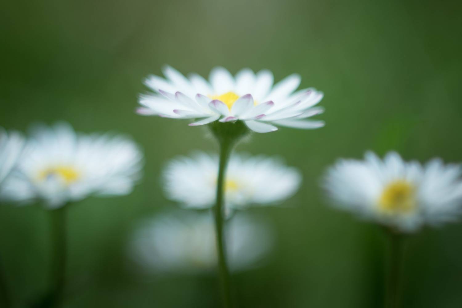 Photo #13637929