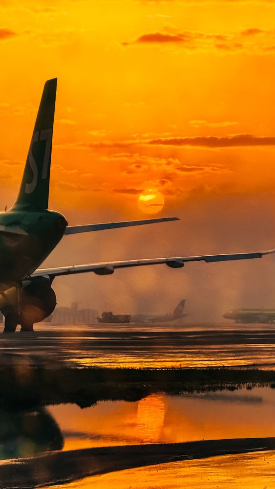 Photograph by Елизавета Синицына