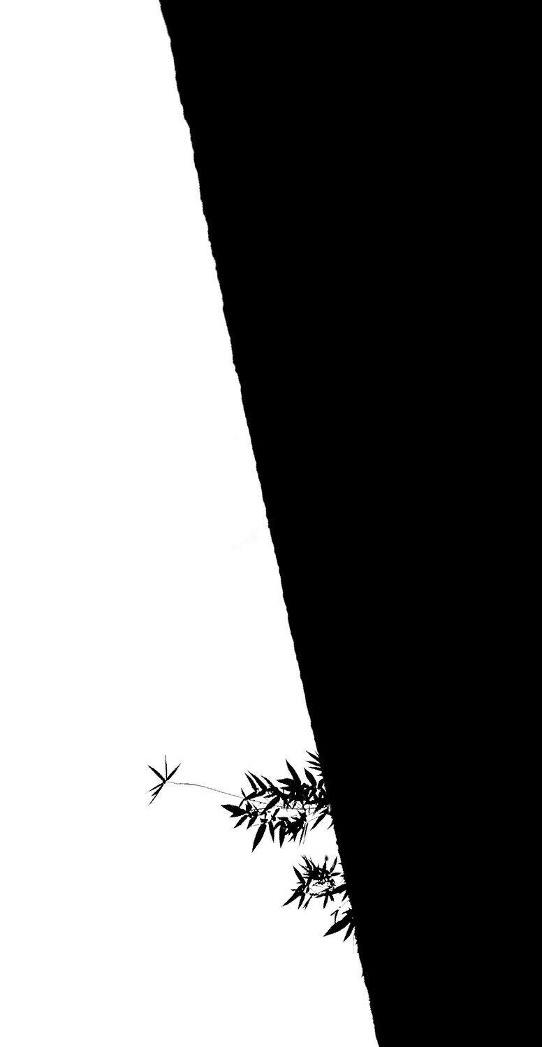 The Line of Life
