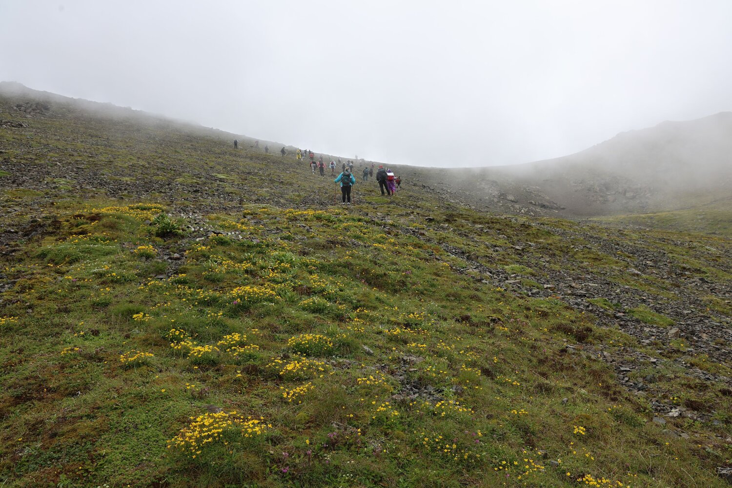 Photo #13638060