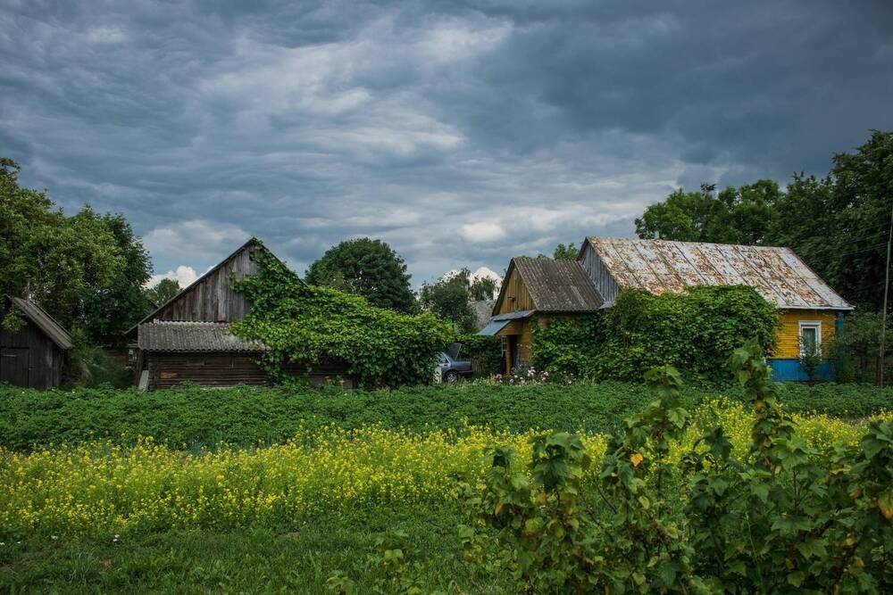 Фотография автора Виктория Трущенко