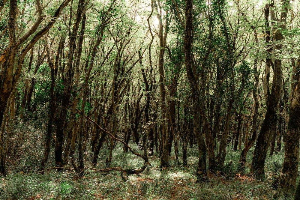 Photograph by Ирина Жебрун