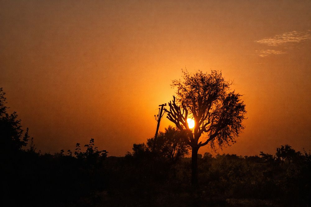 Photograph by Manav Swami