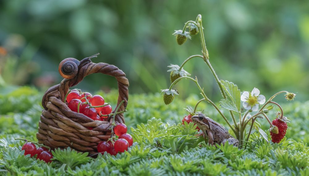 Photograph by Татьяна Феденкова