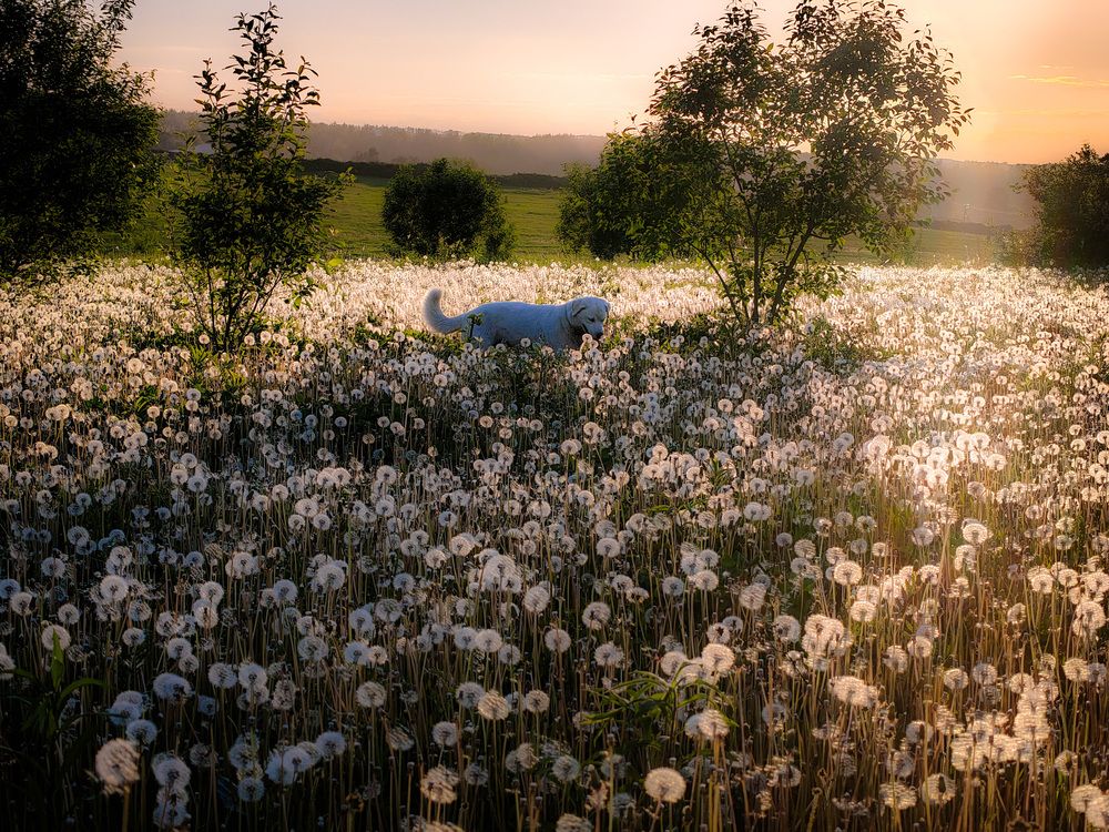 Photograph by Кондрашова Светлана