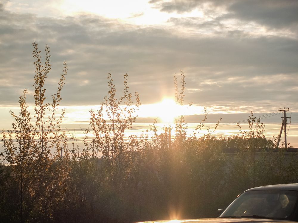 Photo #13638225