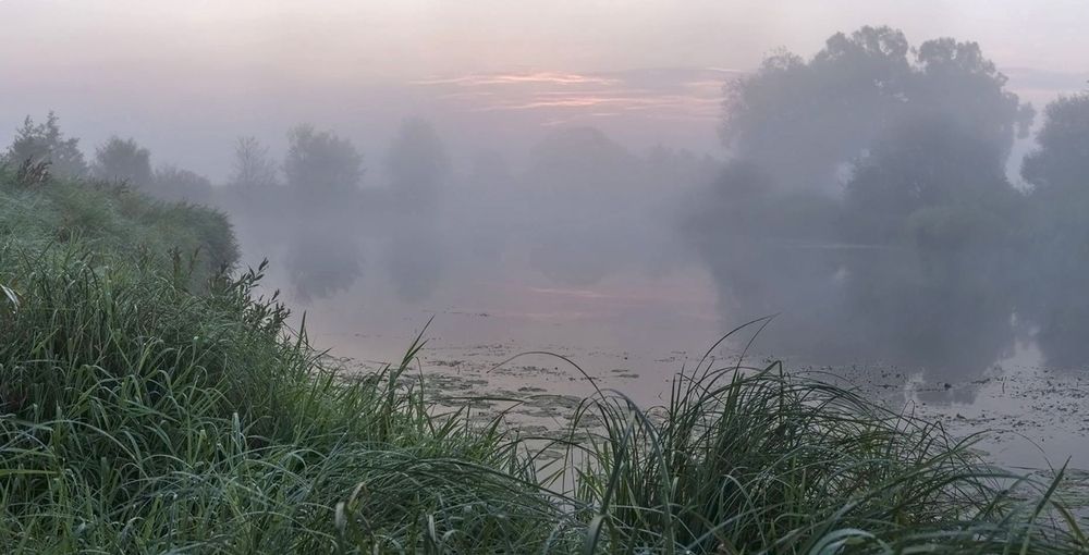 Photograph by Николай Кузьмин