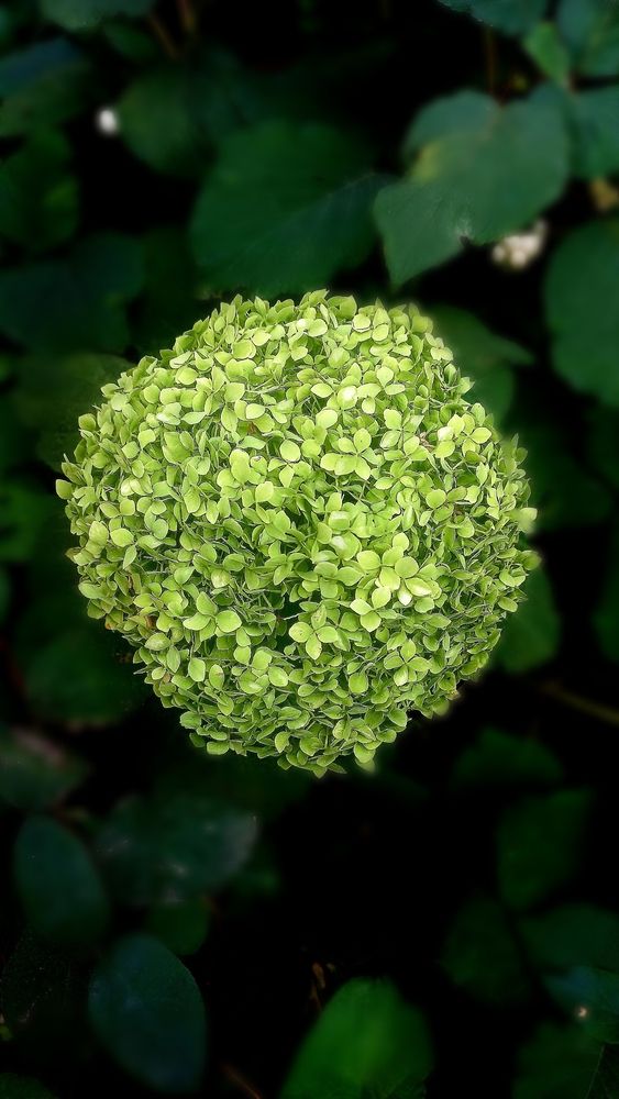 Photograph by Ольга Каковкина