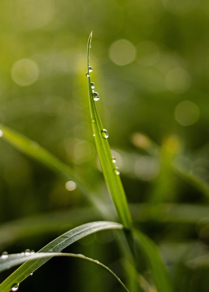 Photograph by Александр Соколович