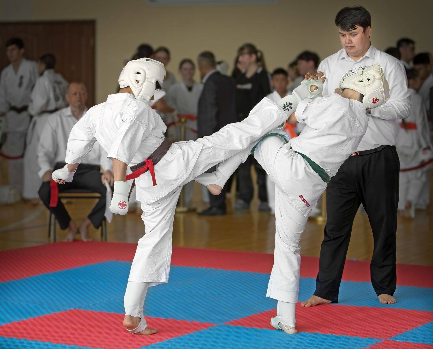 Photo #13638600
