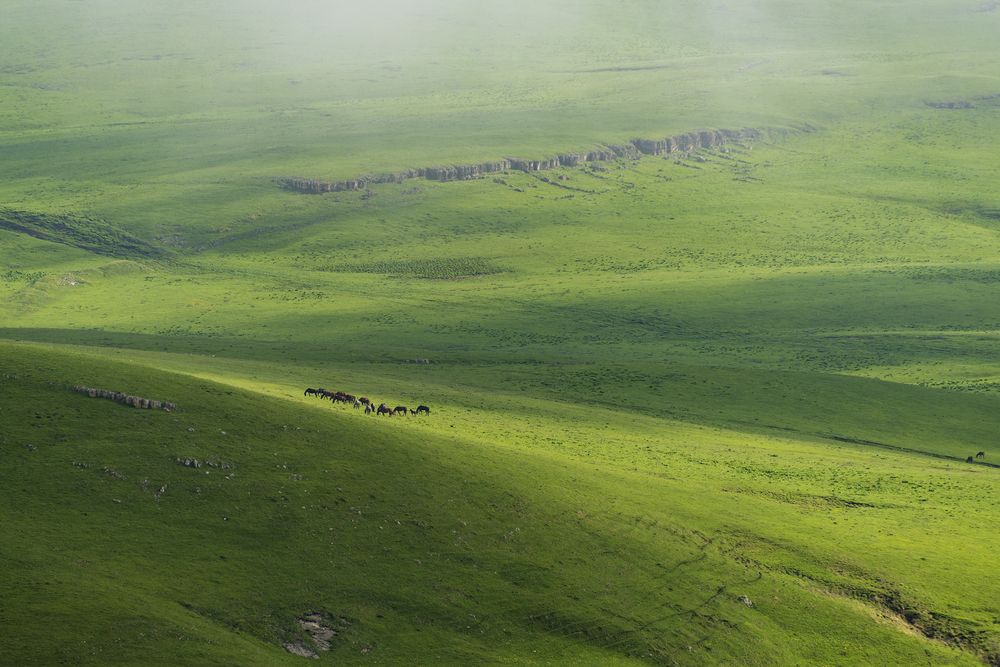 Photograph by Дмитрий Новоселов