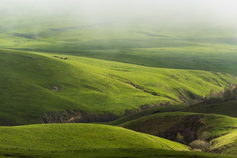 Photograph by Дмитрий Новоселов