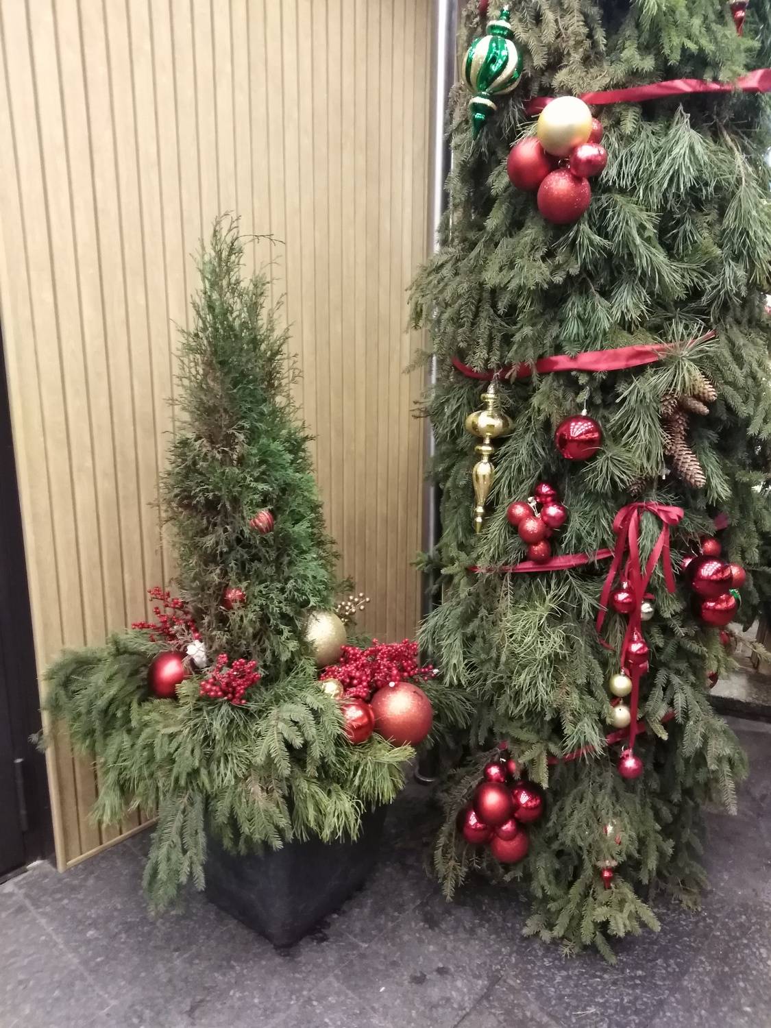 Photo #13638642