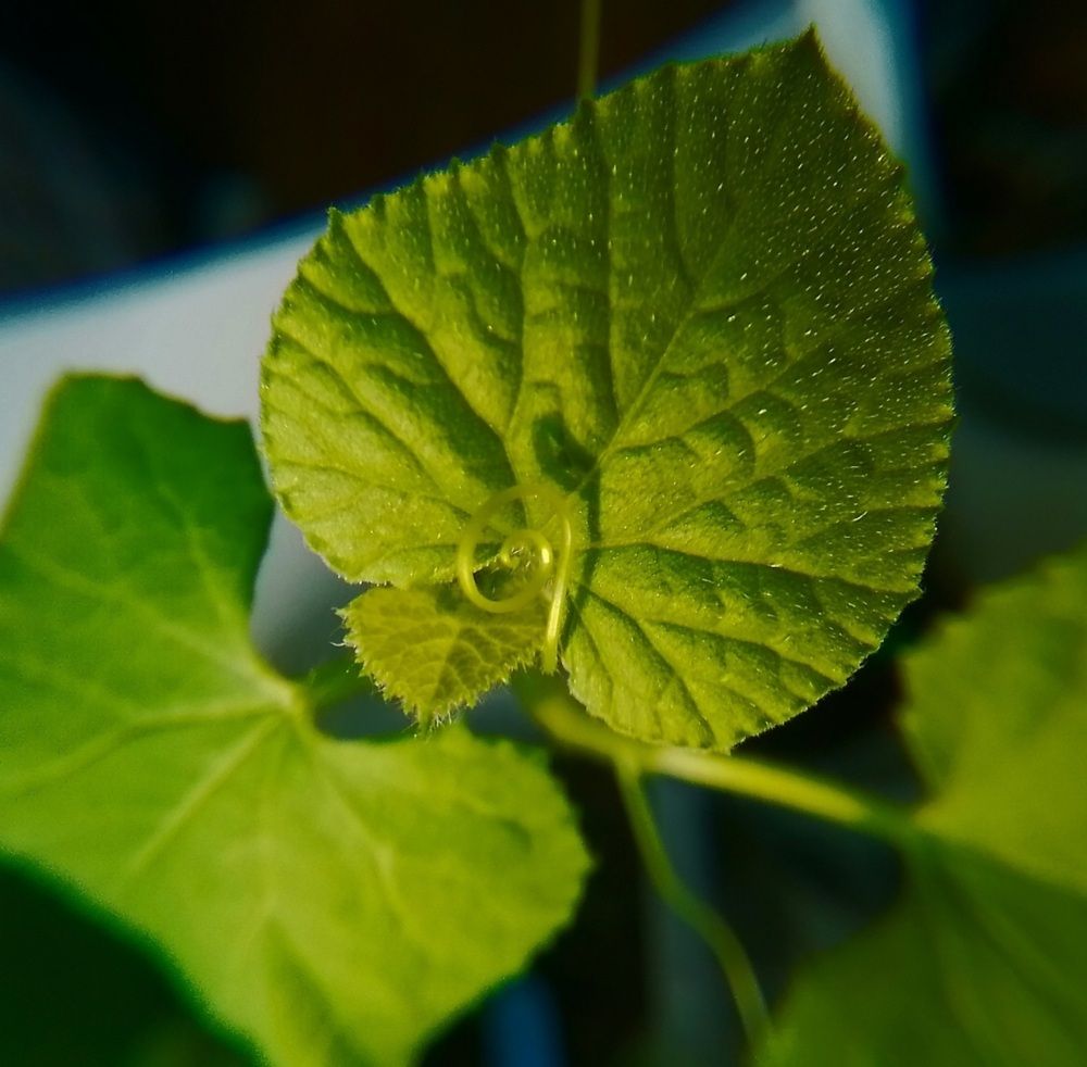Photograph by Ольга Каковкина