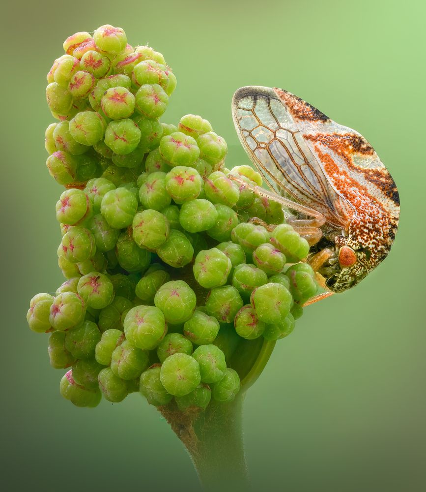 Photograph by Atul Saluja