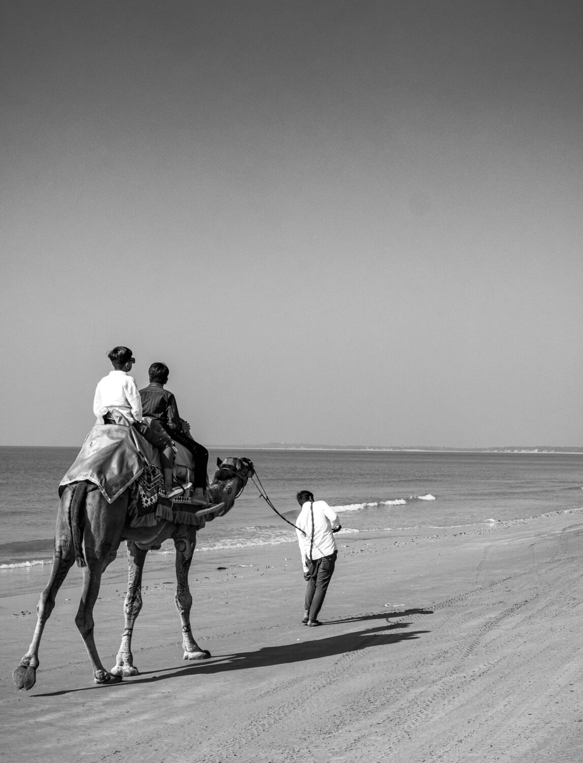 Photo #13638757