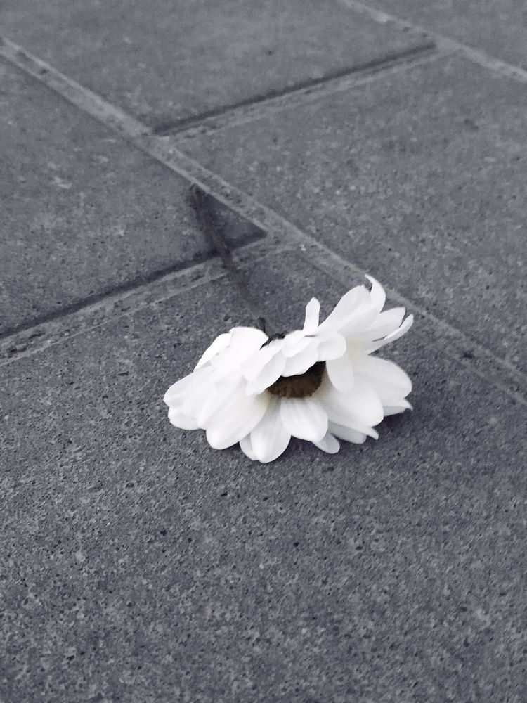 Photograph by Евгения Соловьева