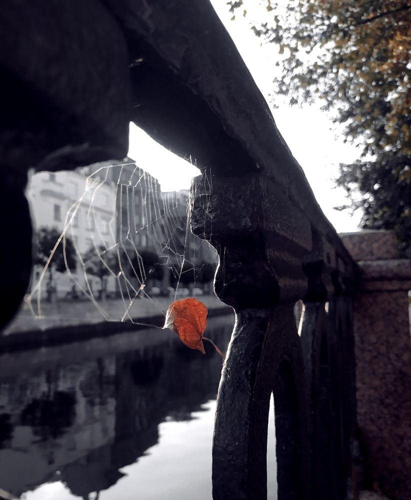 Photograph by Евгения Соловьева