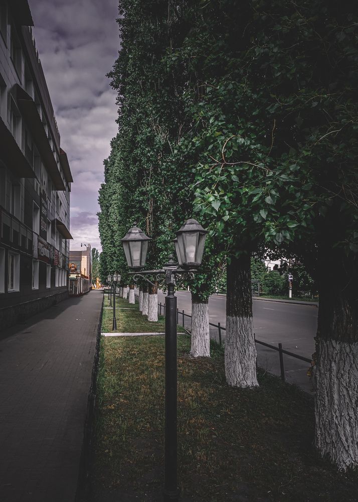 Photograph by Denis Sumin