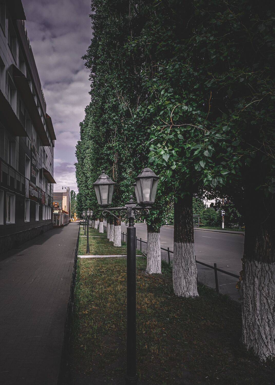 Photo #13638942