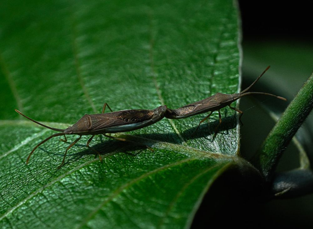 Photograph by ANIL KUMAR DESHPANDE