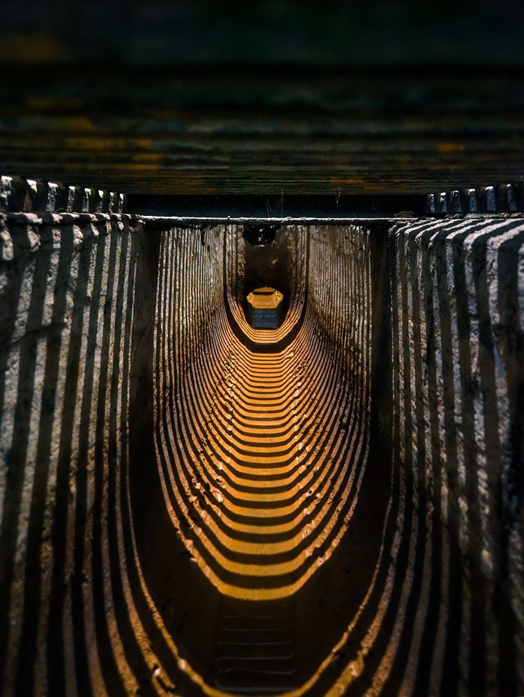 Photograph by GOKUUL T