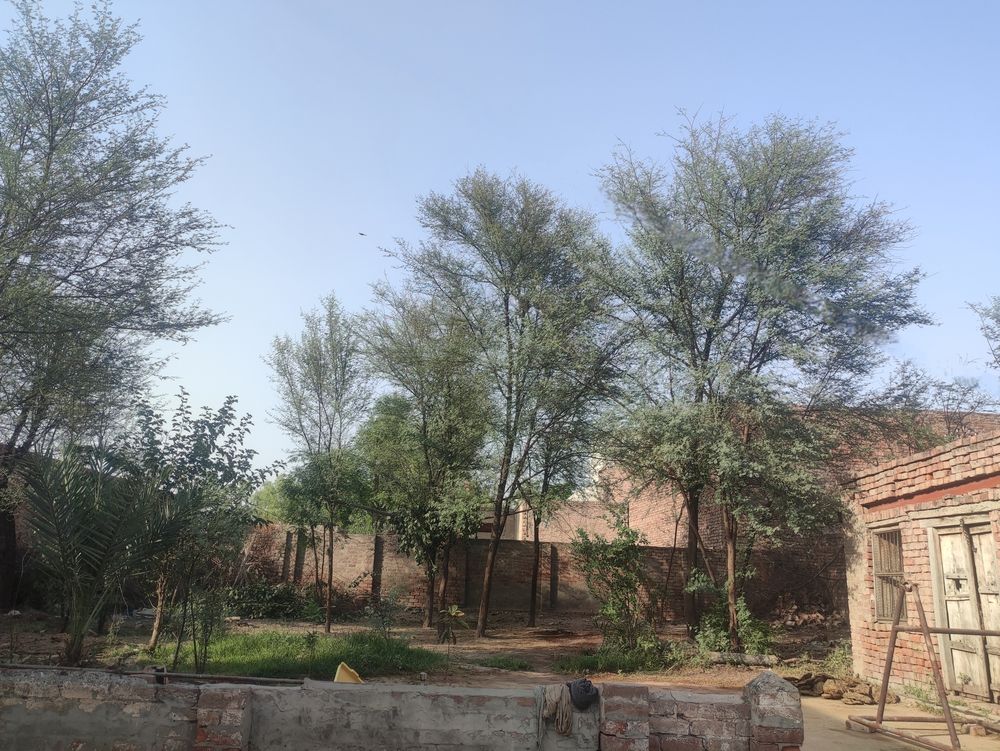 Village life