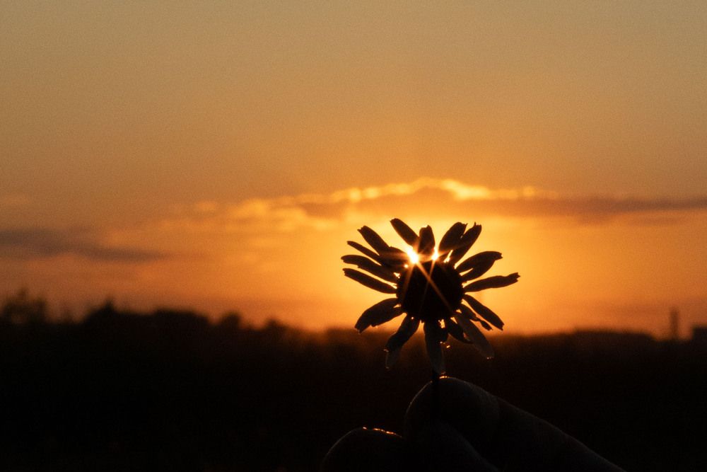 Photograph by Алсу Гайнутдинова
