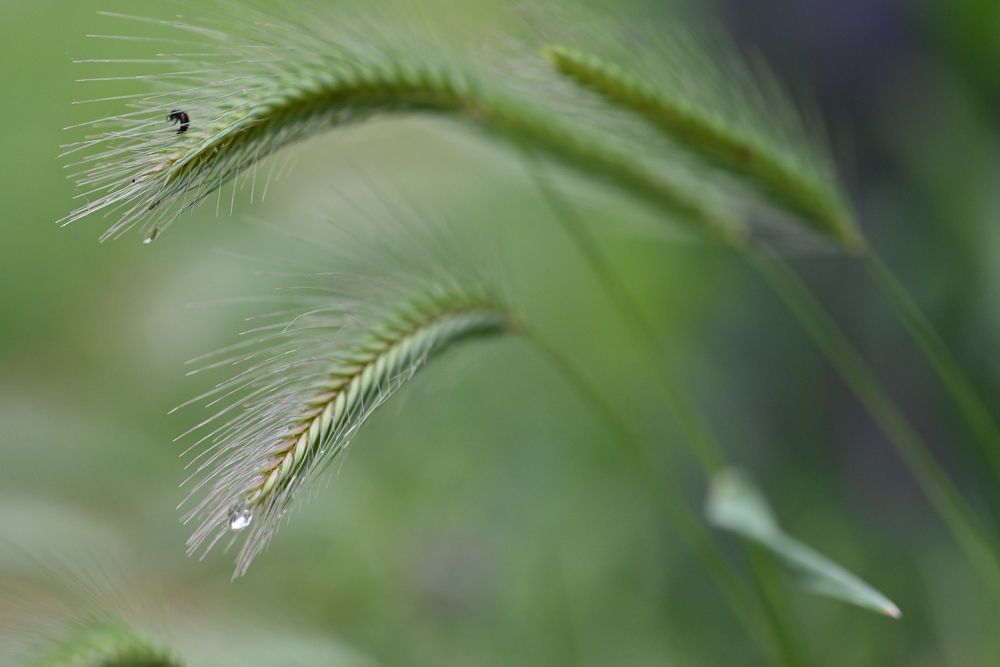 Photograph by Ljiljana Nedeljković