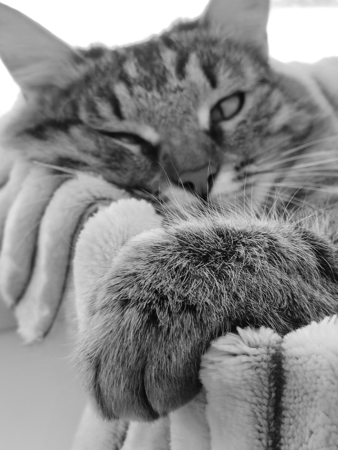 Photo #13639114