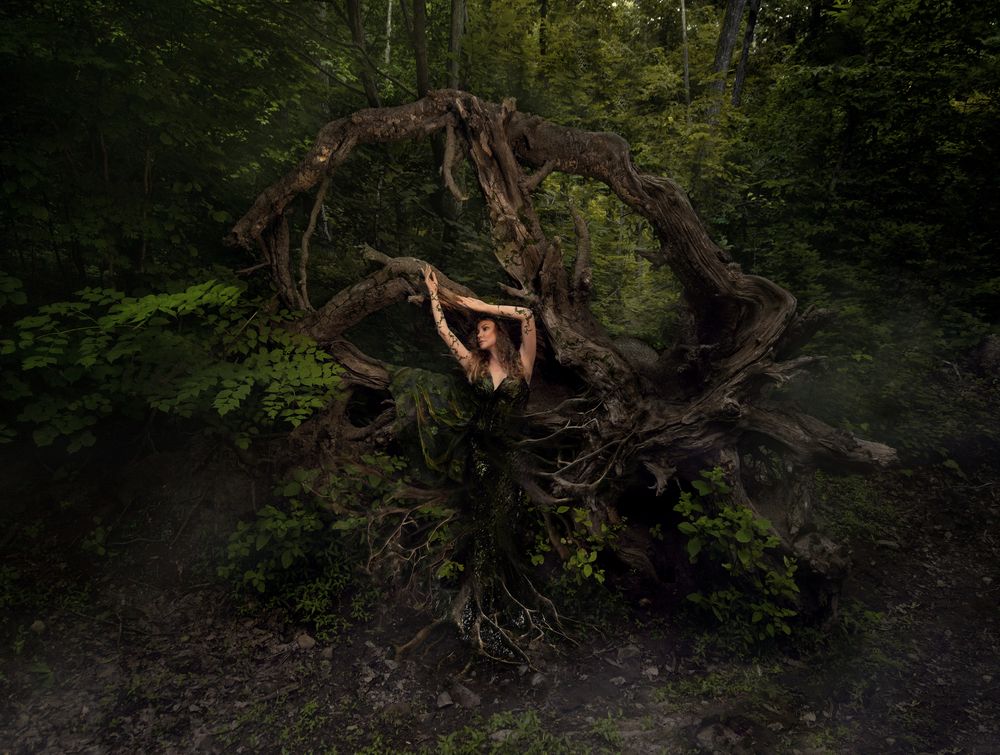 Photograph by irina kaurdakova