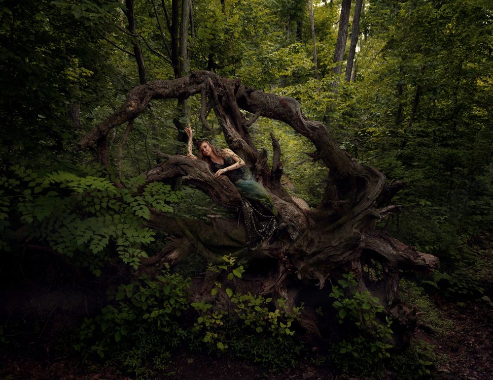 Photograph by irina kaurdakova