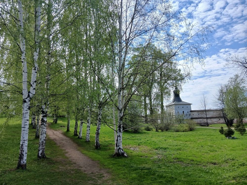 Photograph by Евгения Иванчикова
