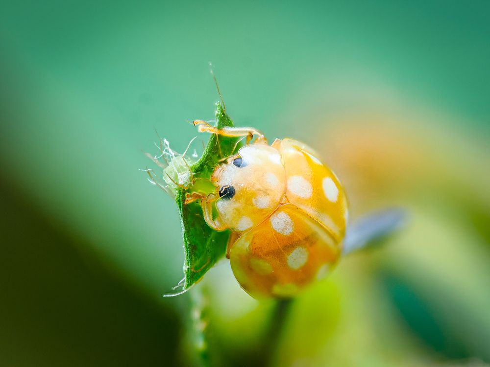 Photograph by Trinh Hoang Duc Loc