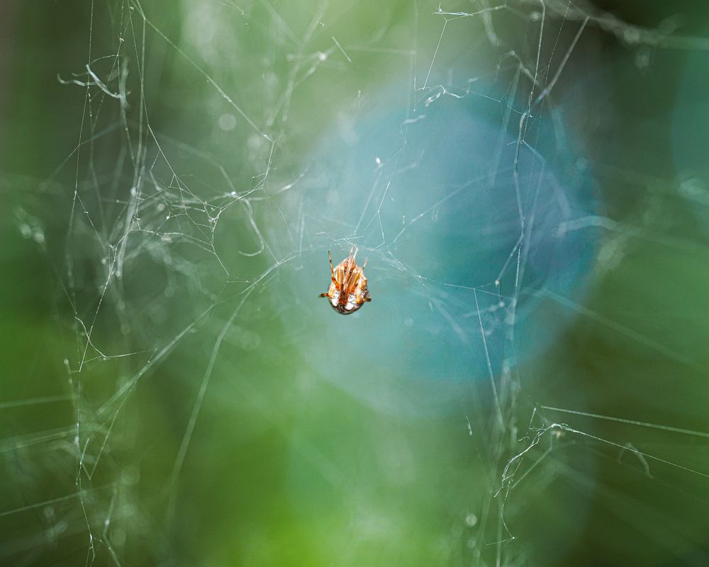 Photograph by Trinh Hoang Duc Loc
