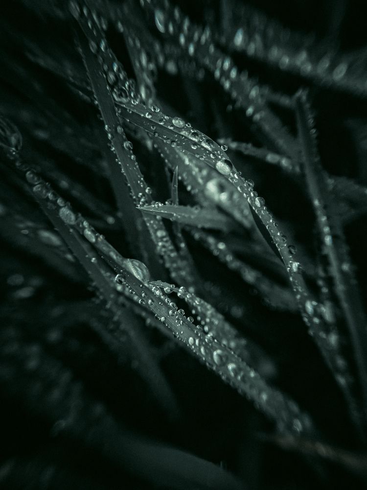 Photograph by Светлана Ишкина