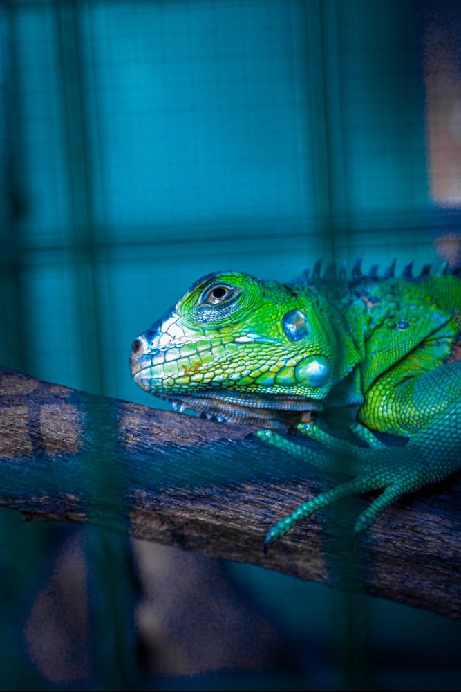 Photograph by Varshini Sriram
