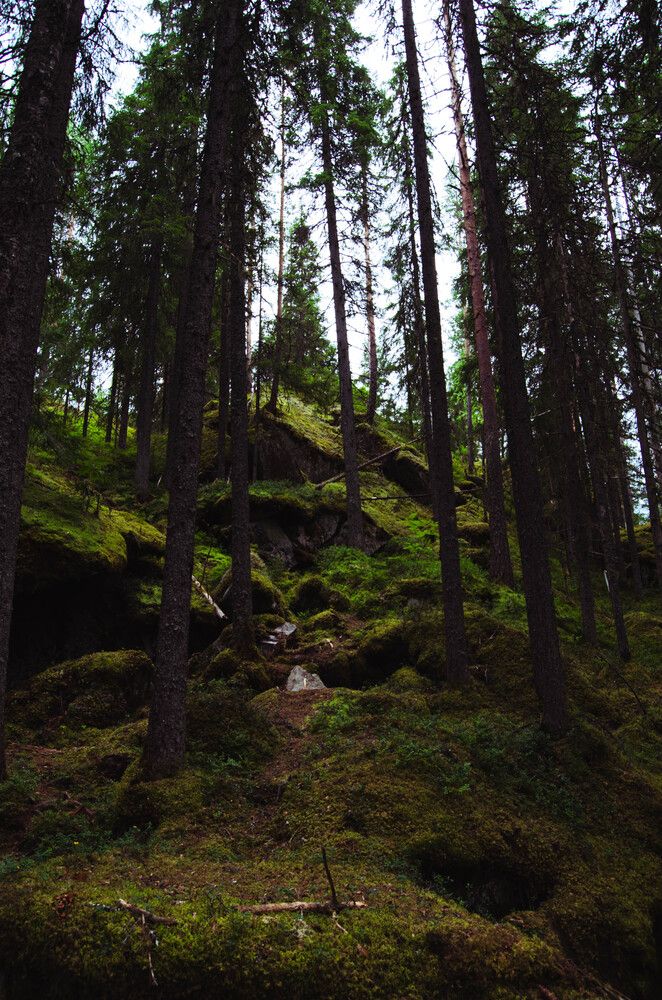 Photo #13639360
