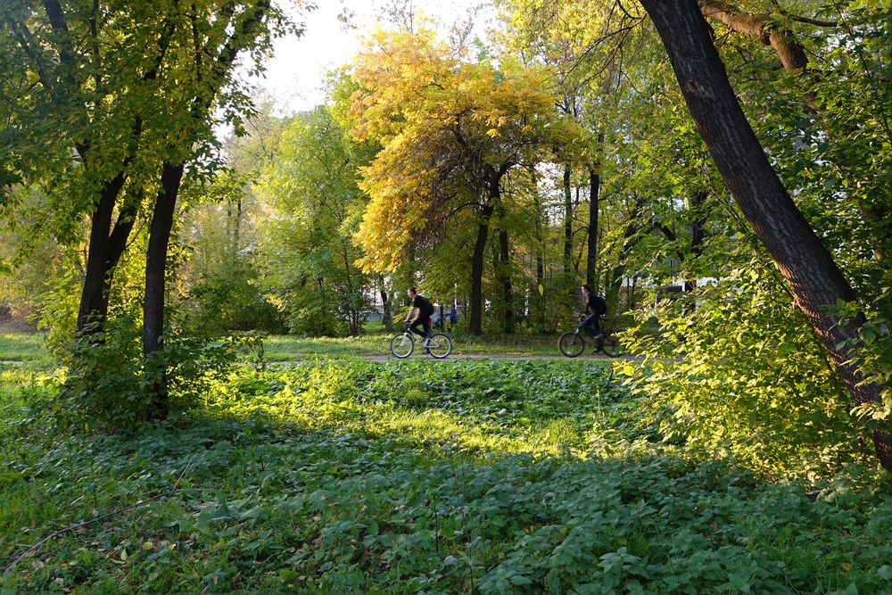 НА  ВЕЛОСИПЕДАХ  ПО  ДОРОЖКЕ…