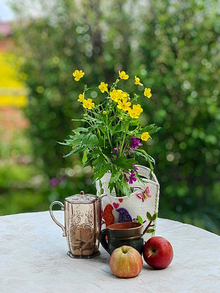 Photograph by Чкареули Светлана