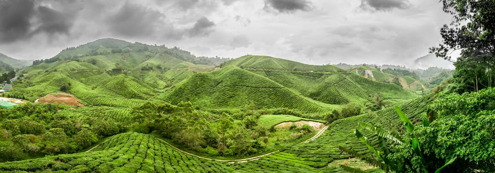 Photograph by Amr Rahman