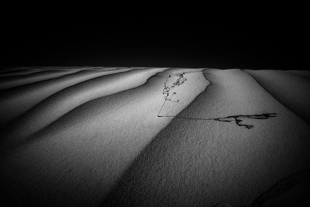 Photograph by Boris Bekelman