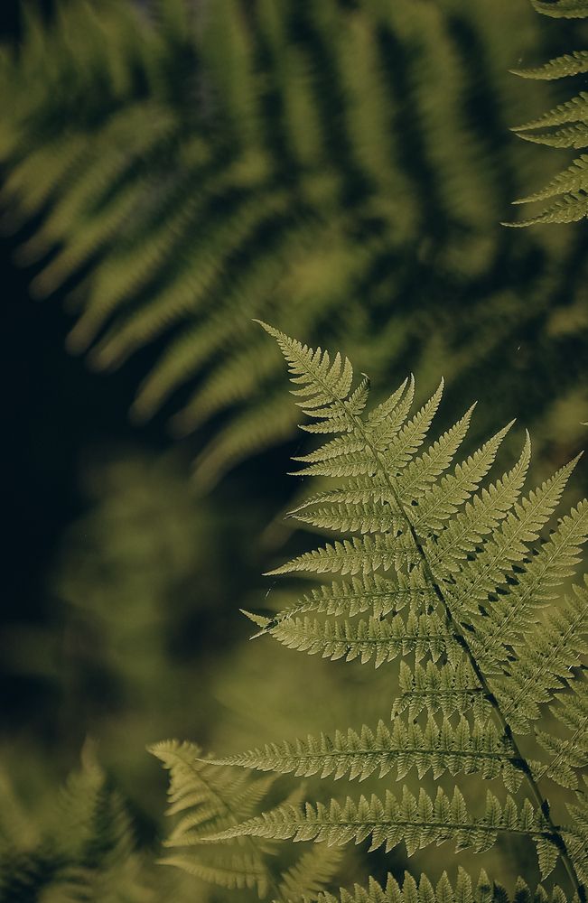 Photograph by Ригина Айдель