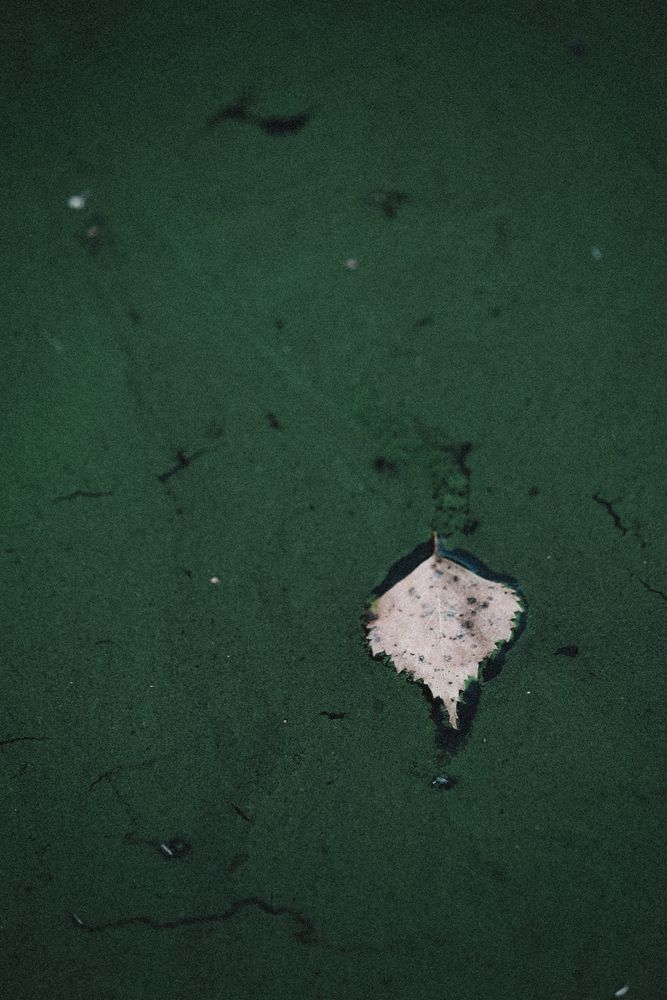 Photograph by Ригина Айдель